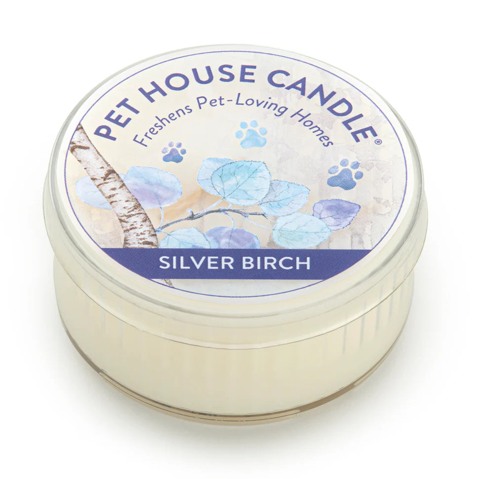 Silver Birch Mini Candle