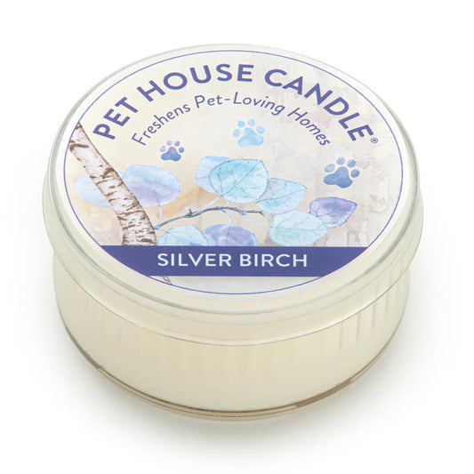 Silver Birch Mini Candle