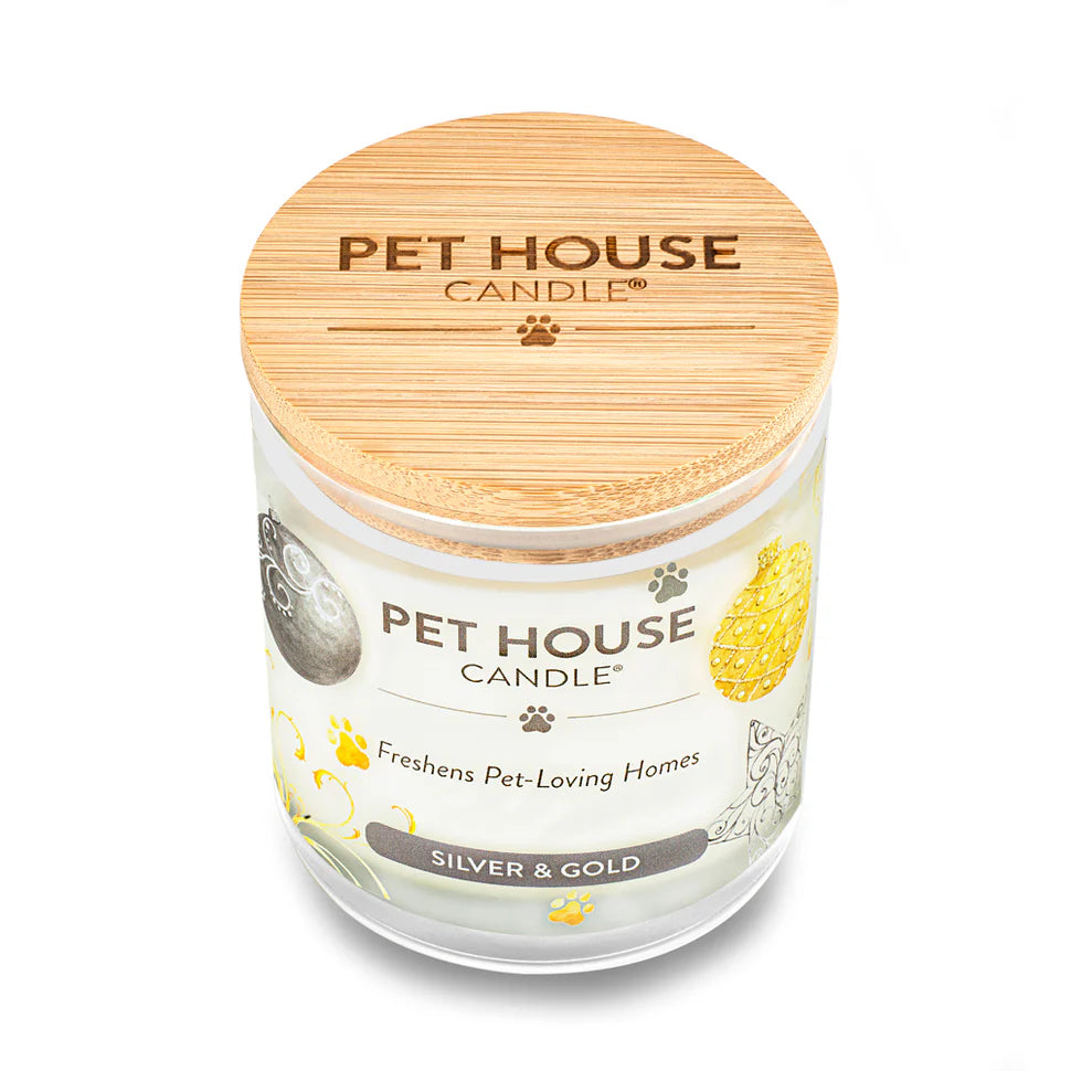 Silver & Gold Candle