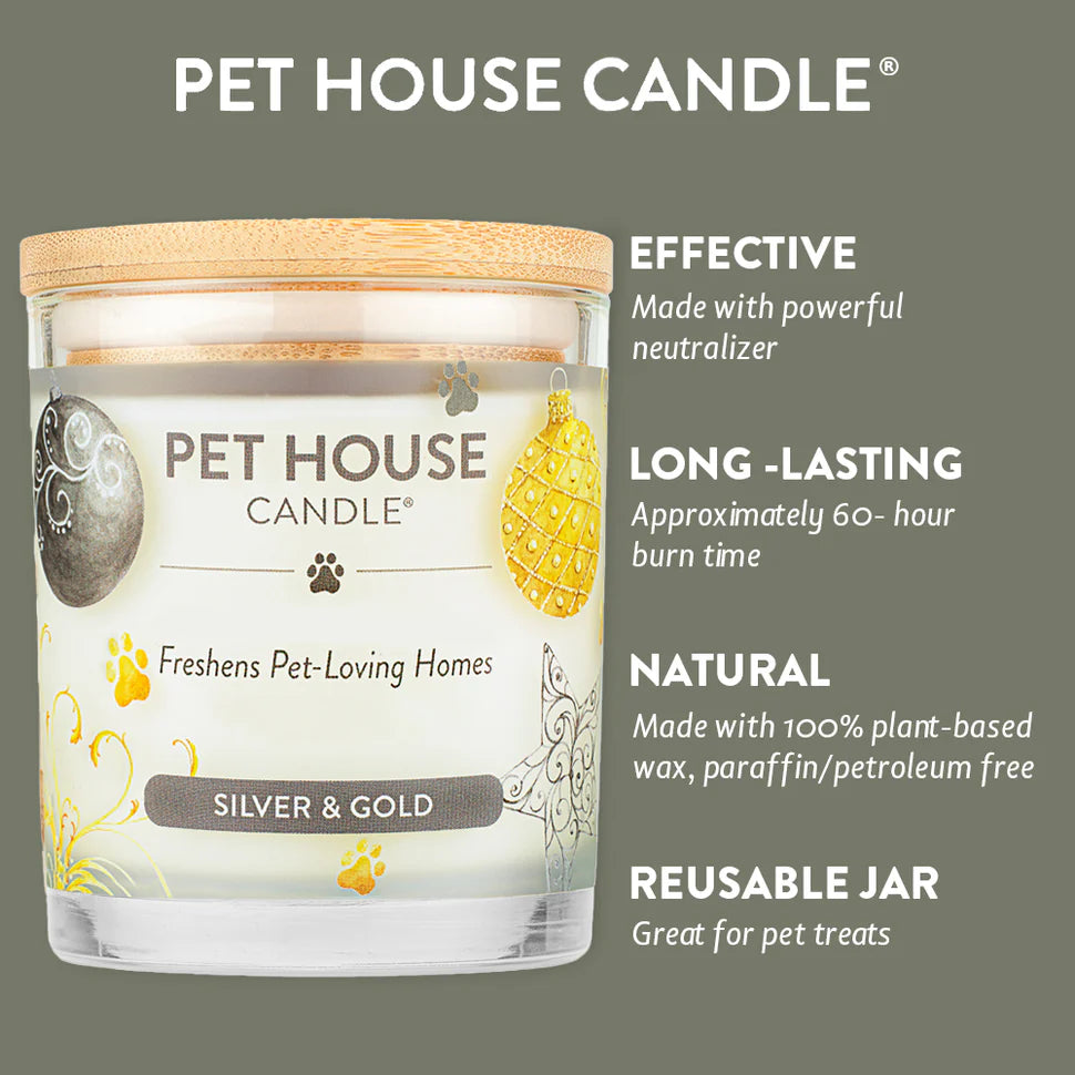 Silver & Gold Candle