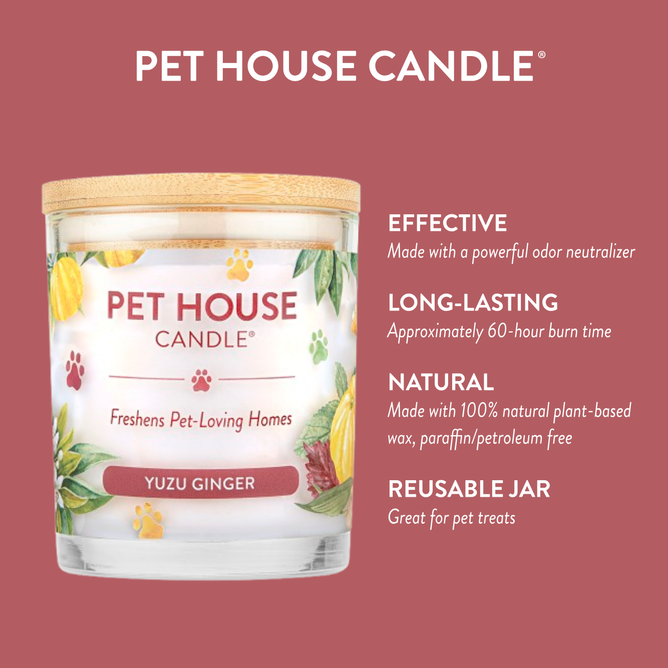 Pet House Candle Yuzu Ginger Infographics