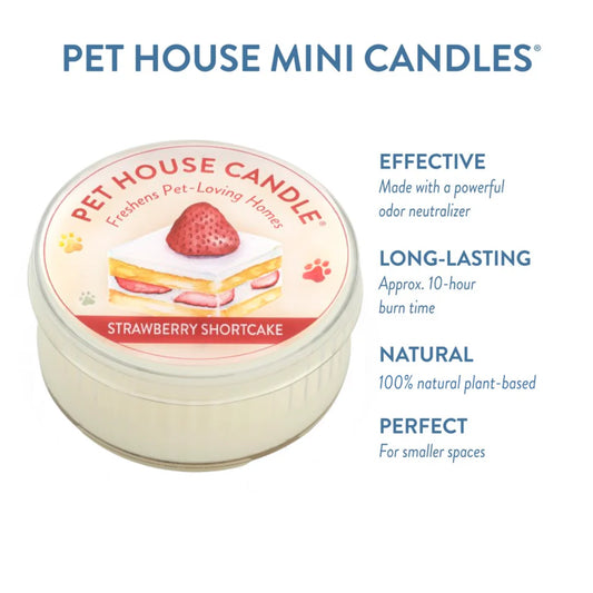Strawberry Shortcake Mini Candle