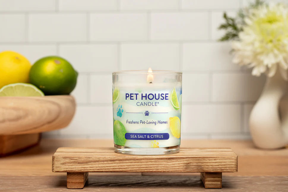 Sea Salt & Citrus Candle