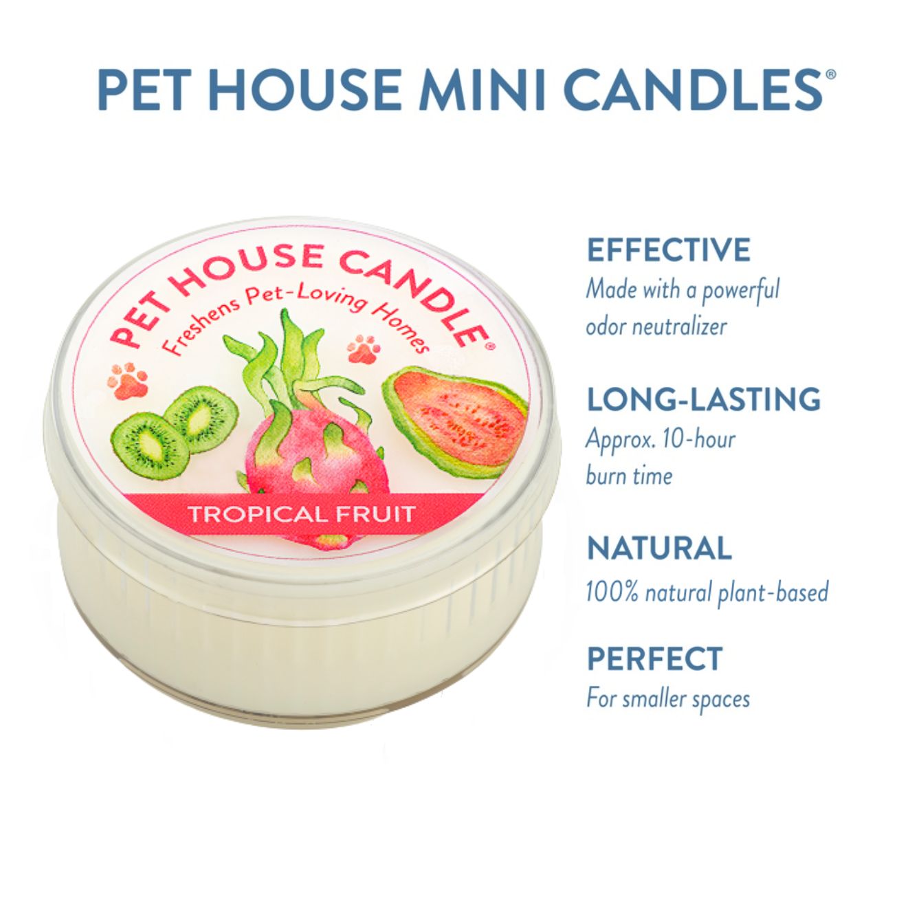 Tropical Fruit Mini Candle