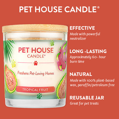 Tropical Fruit Candle