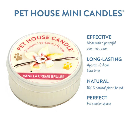 Vanilla Crème Brulee Mini Candle