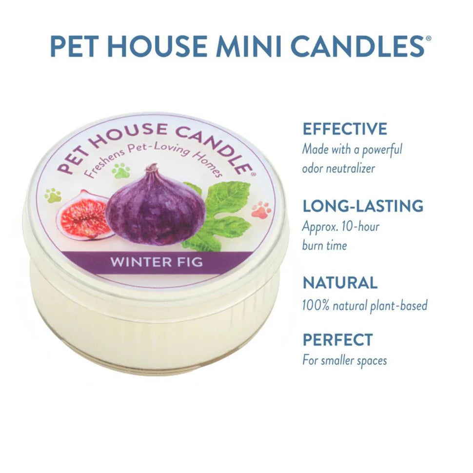 Winter Fig Mini Candle