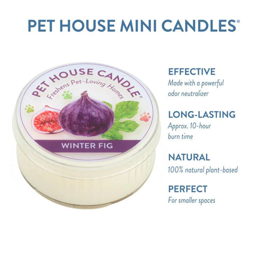 Winter Fig Mini Candle