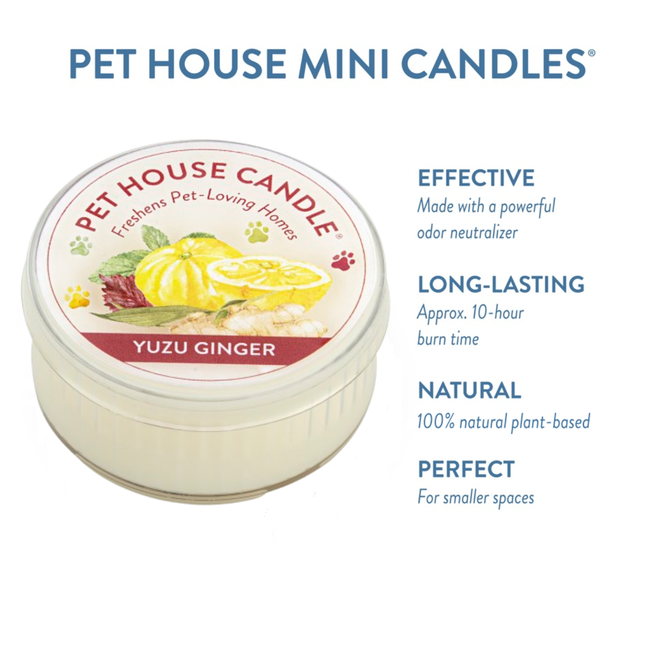 Infographic for Mini Candle