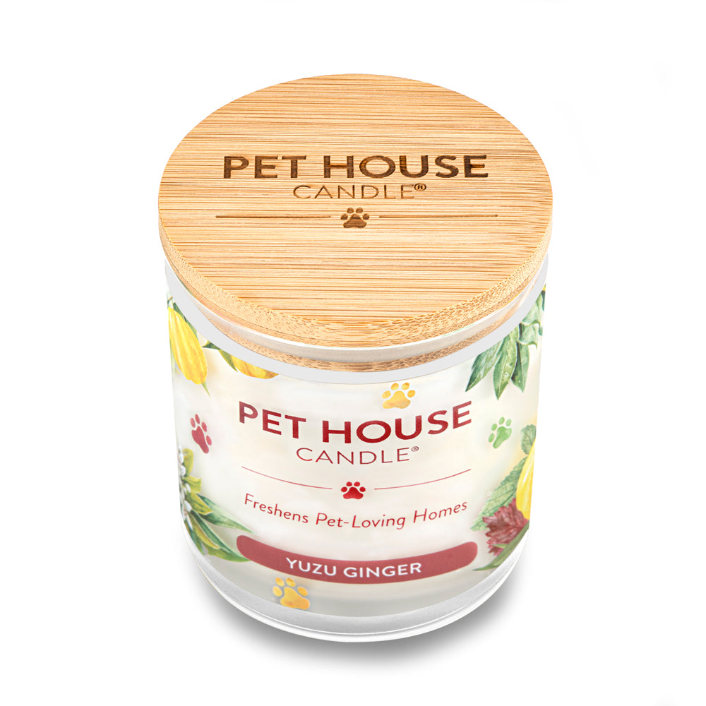 Pet House Candle Yuzu Ginger -High Angle
